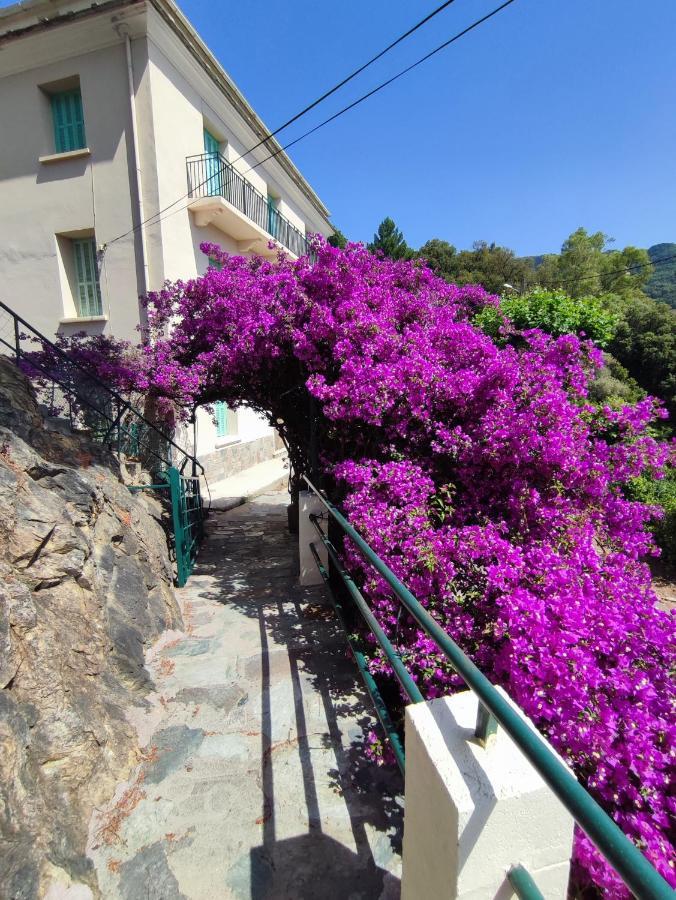 La Vallicella 法雷诺 外观 照片