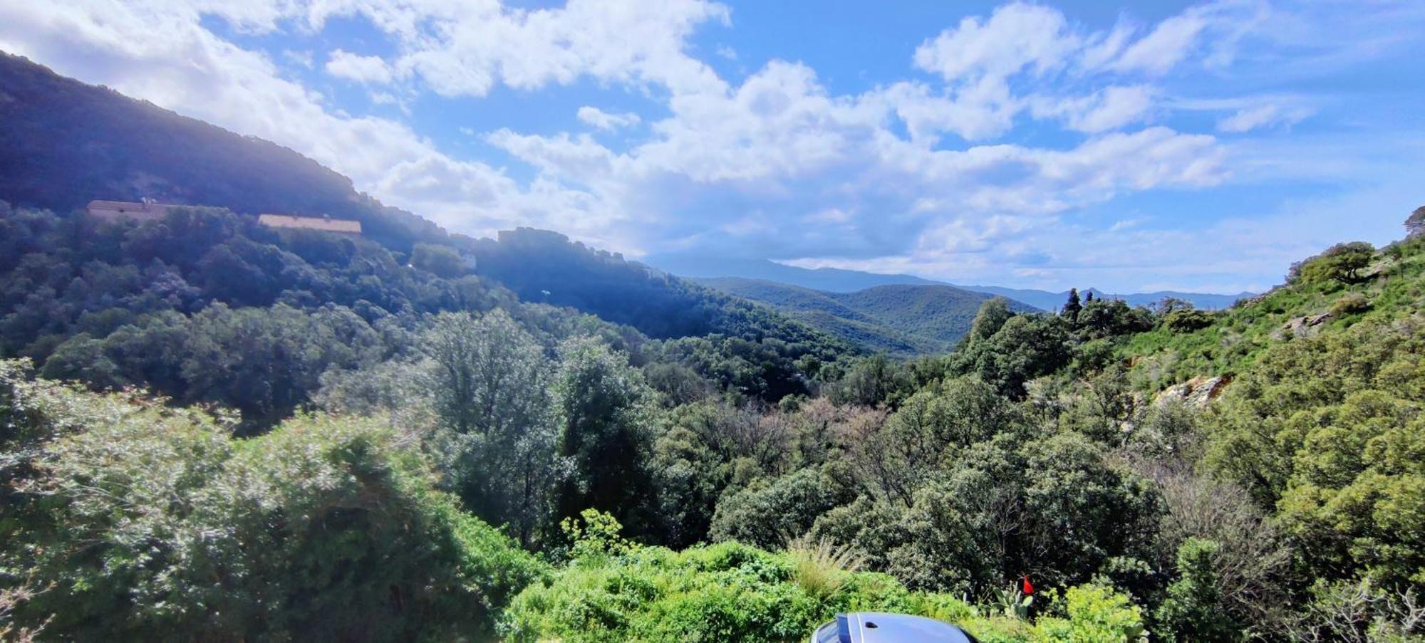 La Vallicella 法雷诺 客房 照片